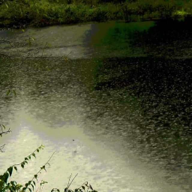 Where Does the Time Go (Prelude)